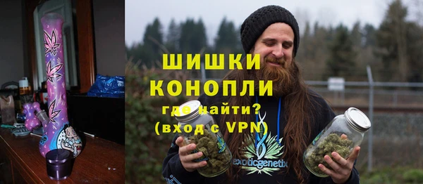 прущие грибы Баксан