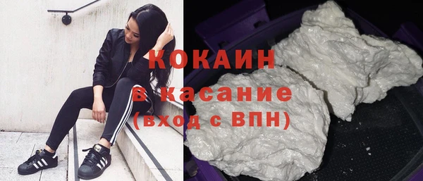 прущие грибы Баксан