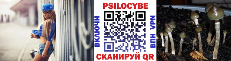 что такое наркотик  Спасск-Дальний  Псилоцибиновые грибы Magic Shrooms 
